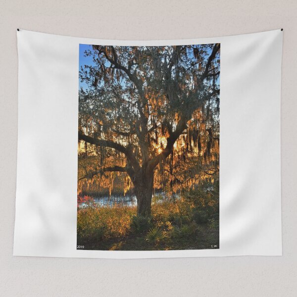 Item preview, Sunrise Through The Oak Tree designed and sold by LisaWootenPhoto.