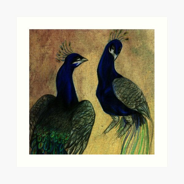 Peacock Painting by marthalaufej tinta-design.de Kunstdruck