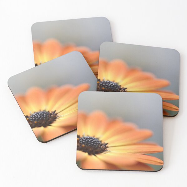 Item preview, African Daisy designed and sold by elainefg.