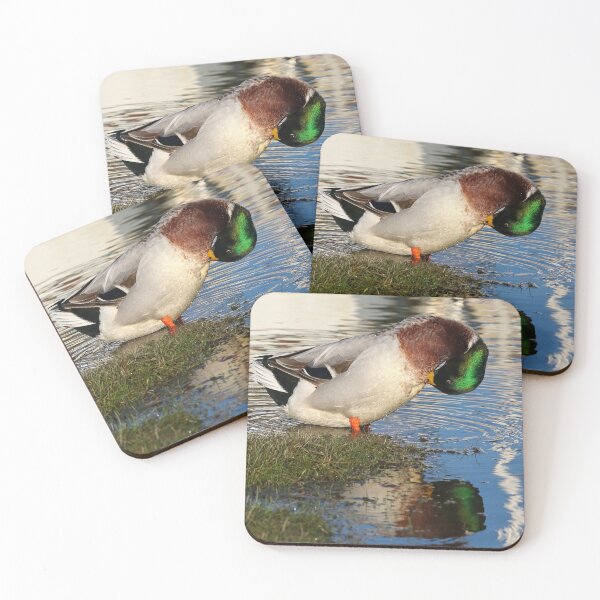 Item preview, Drake reflection designed and sold by GreyFeatherPhot.