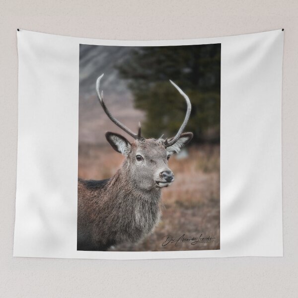 Item preview, Scottish Stag designed and sold by Don Lumsden.