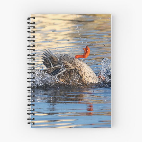 Item preview, Capsize! designed and sold by GreyFeatherPhot.
