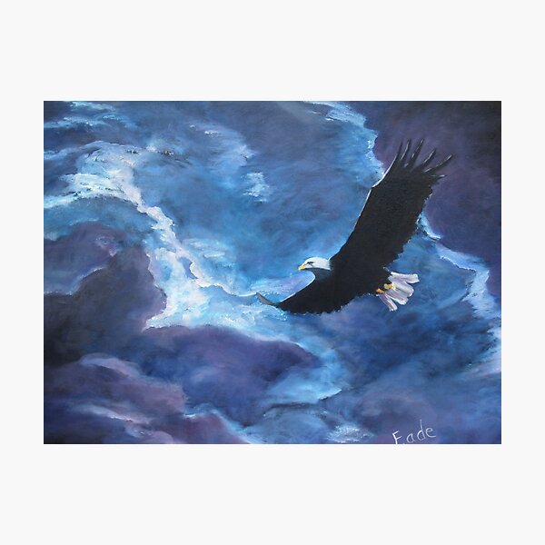 Freedom--Flying High Photographic Print