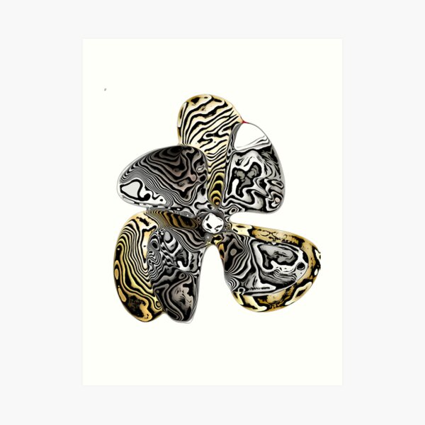 Zebra Prop Flower Art Print