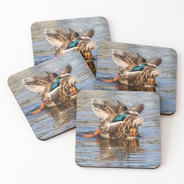 Item preview, Taking a dip designed and sold by GreyFeatherPhot.