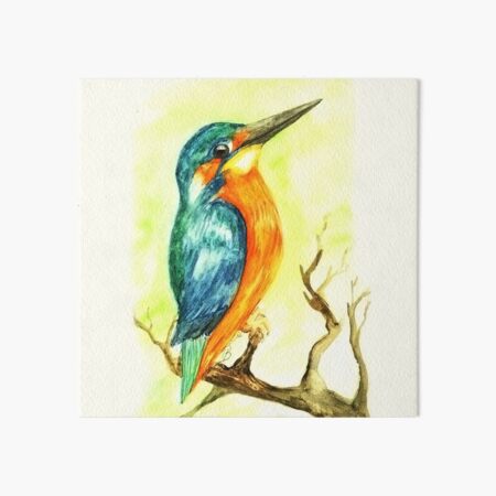 Eisvogel Watercolour Painting by marthalaufej tinta-design.de Galeriedruck