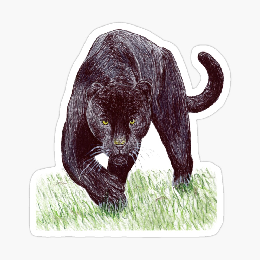 Free: Black panther Leopard Lion Cougar, Panther Animal transparent  background PNG clipart - nohat.cc