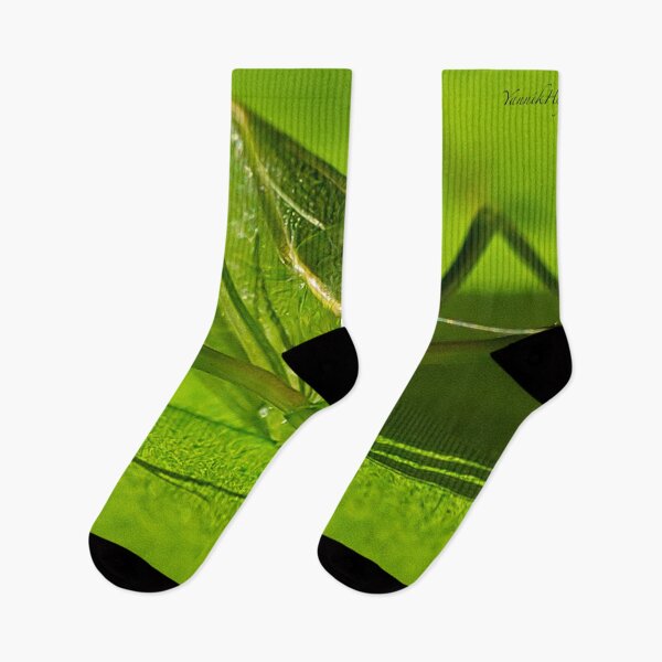 Item preview, Grasshopper designed and sold by Yannik Hay.