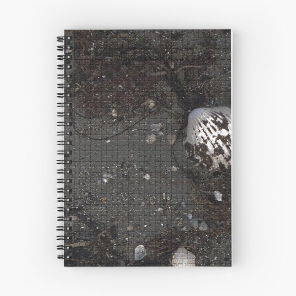 Item preview, The Shell designed and sold by ArtOfE.