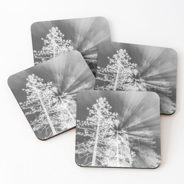 Item preview, MORNING LIGHT designed and sold by BRETTJOZSA.