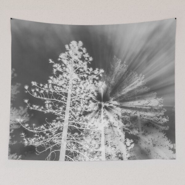 Item preview, MORNING LIGHT designed and sold by BRETTJOZSA.