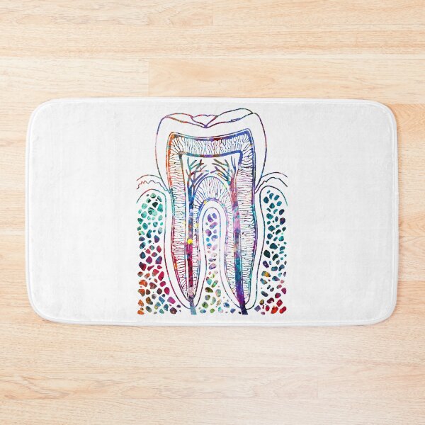 Item preview, Human Tooth Structure designed and sold by EvasDreams.