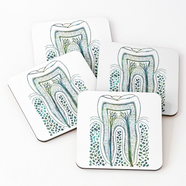 Item preview, Human Tooth Structure designed and sold by EvasDreams.