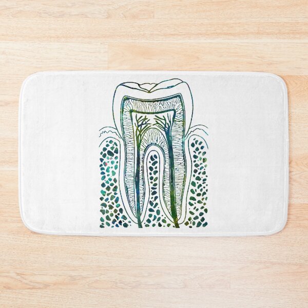 Item preview, Human Tooth Structure designed and sold by EvasDreams.