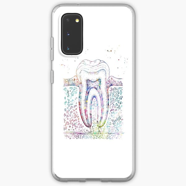 Diagram of Human Tooth Structure Samsung Galaxy Soft Case