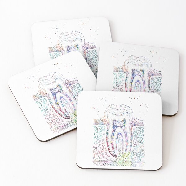 Item preview, Diagram of Human Tooth Structure designed and sold by EvasDreams.