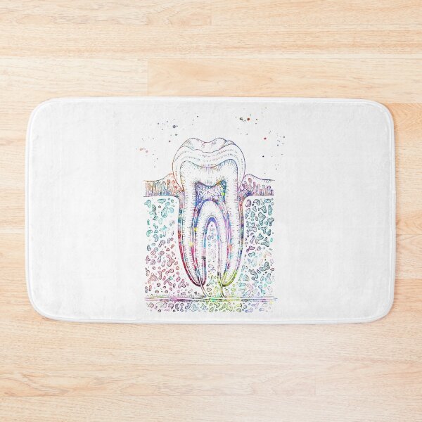 Item preview, Diagram of Human Tooth Structure designed and sold by EvasDreams.