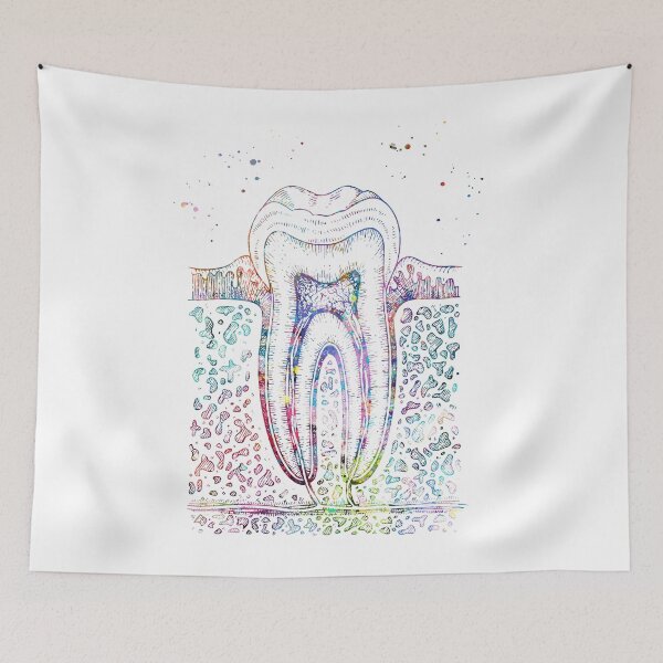 Item preview, Diagram of Human Tooth Structure designed and sold by EvasDreams.