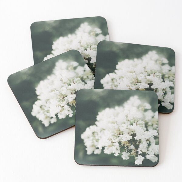 Item preview, White Flowers designed and sold by anafrancisconi.