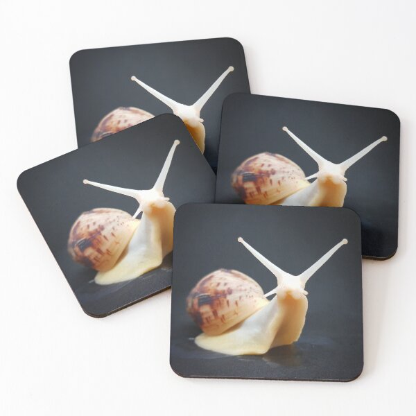 Item preview, albino giant african land snail photo designed and sold by ButterflyBottom.