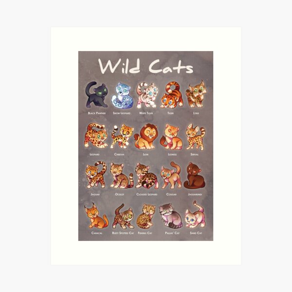 Item preview, Wild Cats - educational poster print for kids of big and small wild cat species designed and sold by ShinePaw.