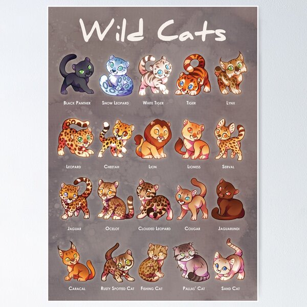 Item preview, Wild Cats - educational poster print for kids of big and small wild cat species designed and sold by ShinePaw.