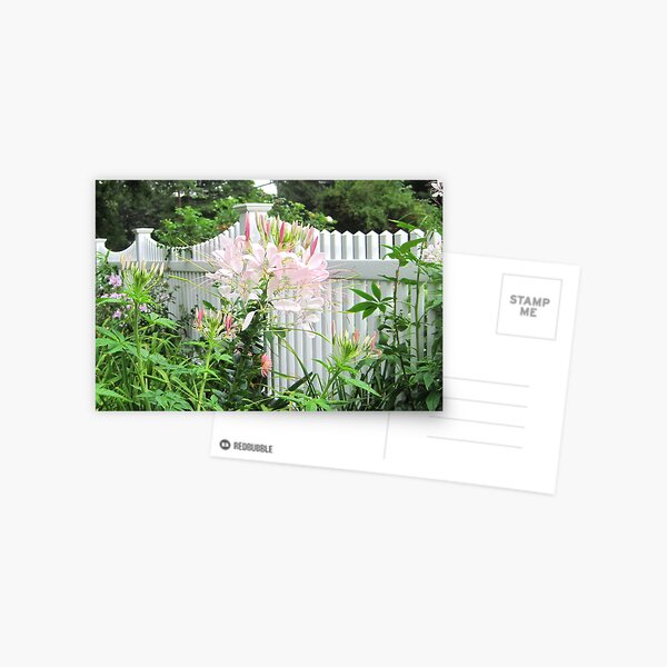 Item preview, Country Garden designed and sold by Patricia127.