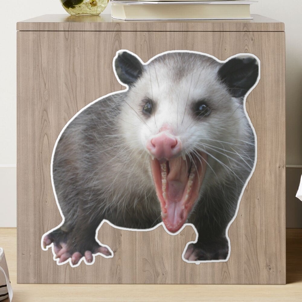 Opossum Wax Stamp Seal — Funny Possum Wax Seal Stamp by boygirlparty – the  boygirlparty shop –