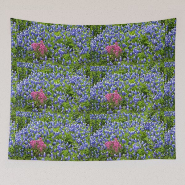 Item preview, Bluebonnets and Prairie Paintbrush Oil Painting designed and sold by Ken Macune.
