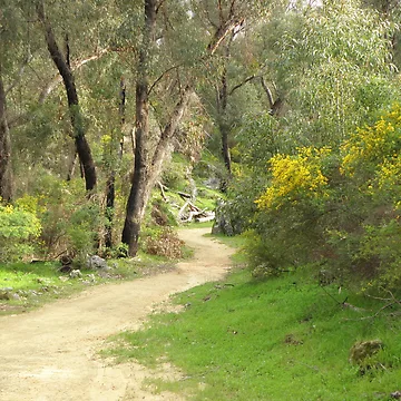 Artwork thumbnail, The winding Path by Rocksygal52