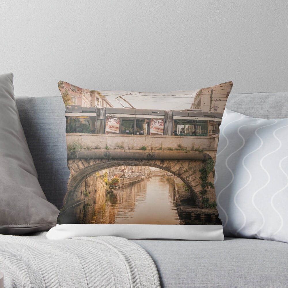 Item preview, Throw Pillow designed and sold by RJDowns.