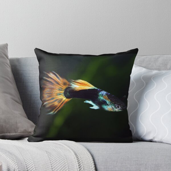 Item preview, Fancy Guppy designed and sold by Johnny Furlotte.