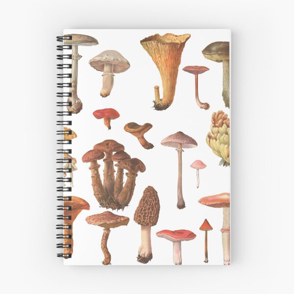 Item preview, Vintage Mushroom Identification Chart designed and sold by Paul David Wilson.