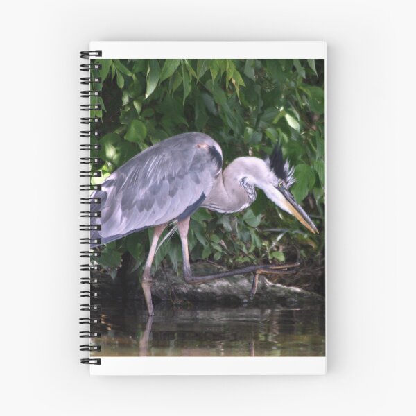 Item preview, Fishing Heron designed and sold by Johnny Furlotte.