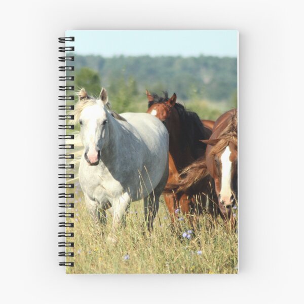 Item preview, Horses in Pasture designed and sold by Johnny Furlotte.