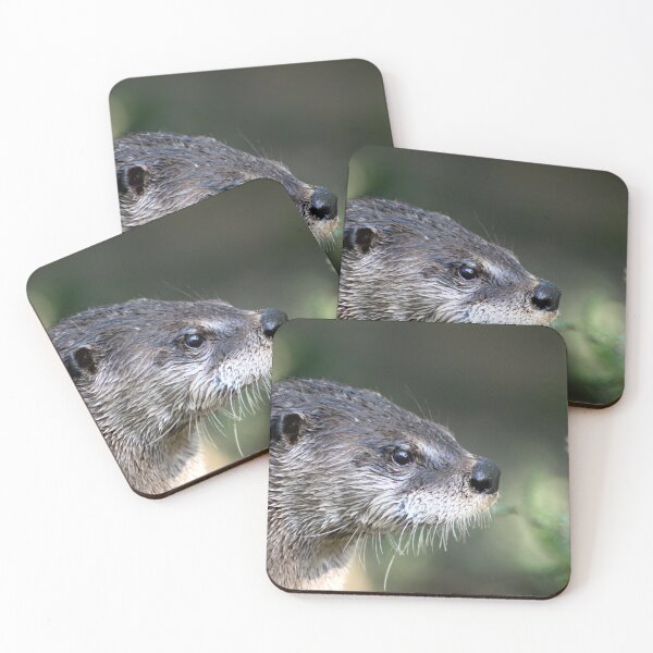 Item preview, River Otter designed and sold by Johnny Furlotte.