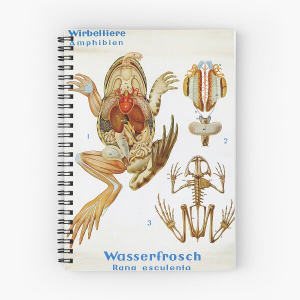 Item preview, Vintage Frog Dissection Poster designed and sold by Paul David Wilson.
