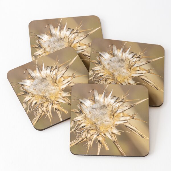 Item preview, Dead seed head. designed and sold by Anne Scantlebury.