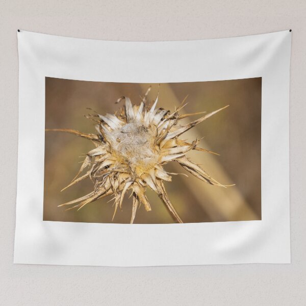 Item preview, Dead seed head. designed and sold by Anne Scantlebury.