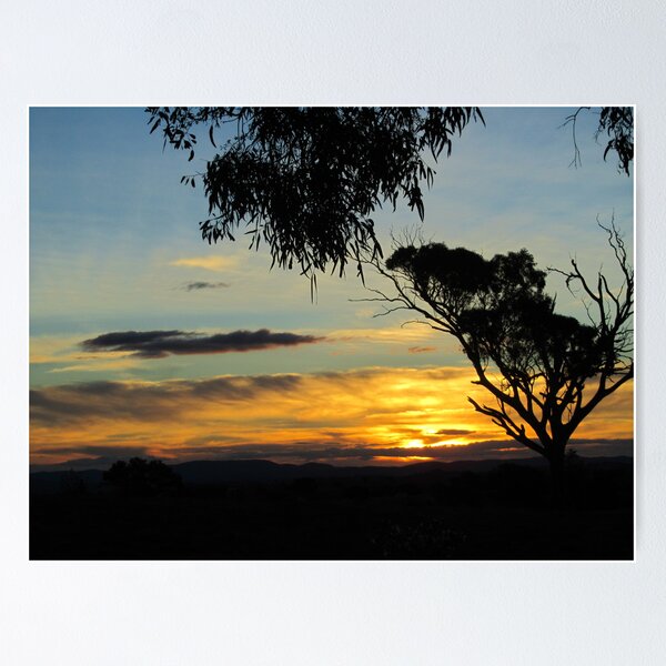 Item preview, Sunset in the Bush! designed and sold by shortshooter-Al.