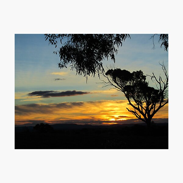 Item preview, Sunset in the Bush! designed and sold by shortshooter-Al.