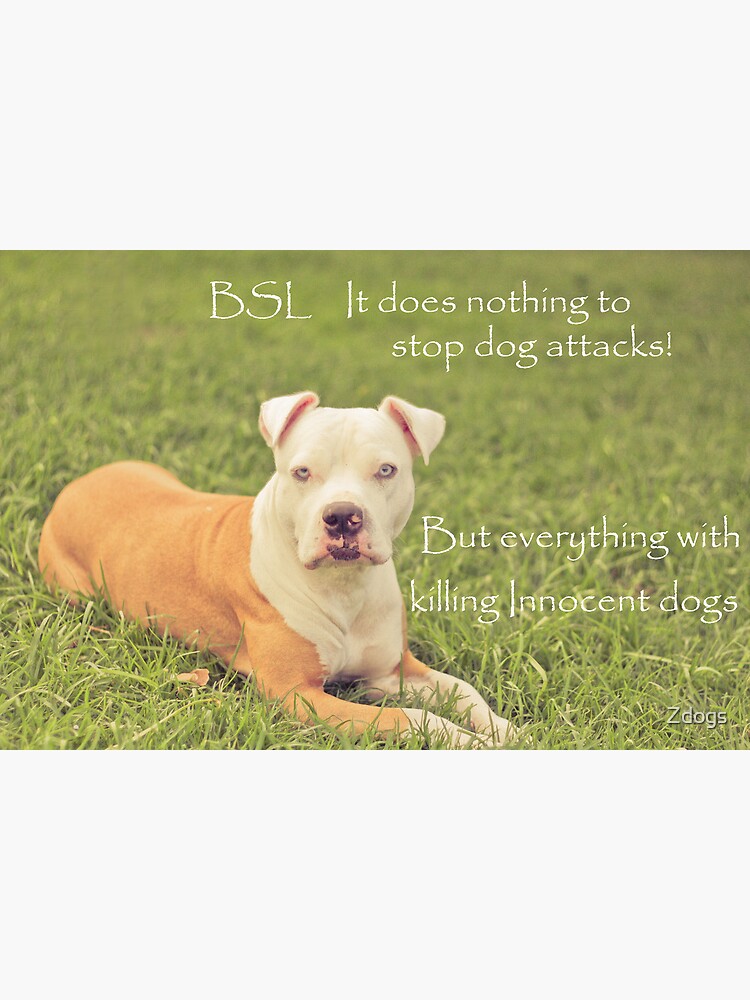 "A Definition Of Breed Specific Legislation" Poster by Zdogs Redbubble
