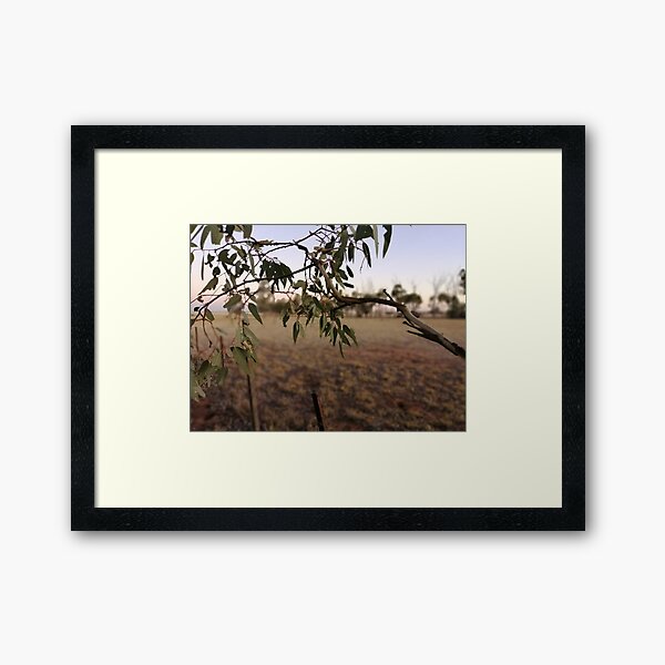 Item preview, Eucalypt designed and sold by tinpink.