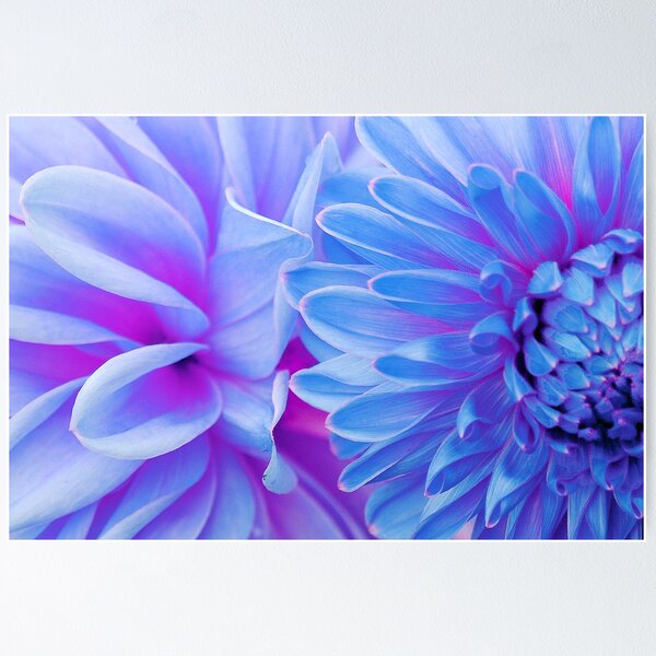 Item preview, Dreamland designed and sold by DavidROMAN.