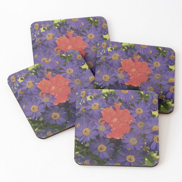 Item preview, ALLEGRATA 10 cinerary carnation daisies ROSE PURPLE flower bouquet floral arrangement nature plant picture designed and sold by dragonemma.