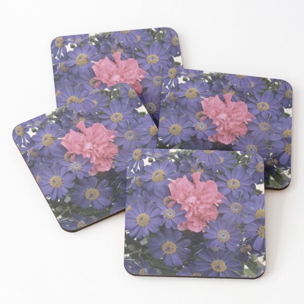 Item preview, ALLEGRATA 9 cinerary carnation daisies ROSE PURPLE flower bouquet floral arrangement nature plant picture designed and sold by dragonemma.