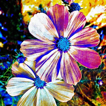 Artwork thumbnail, Springtime by Don  Barrett