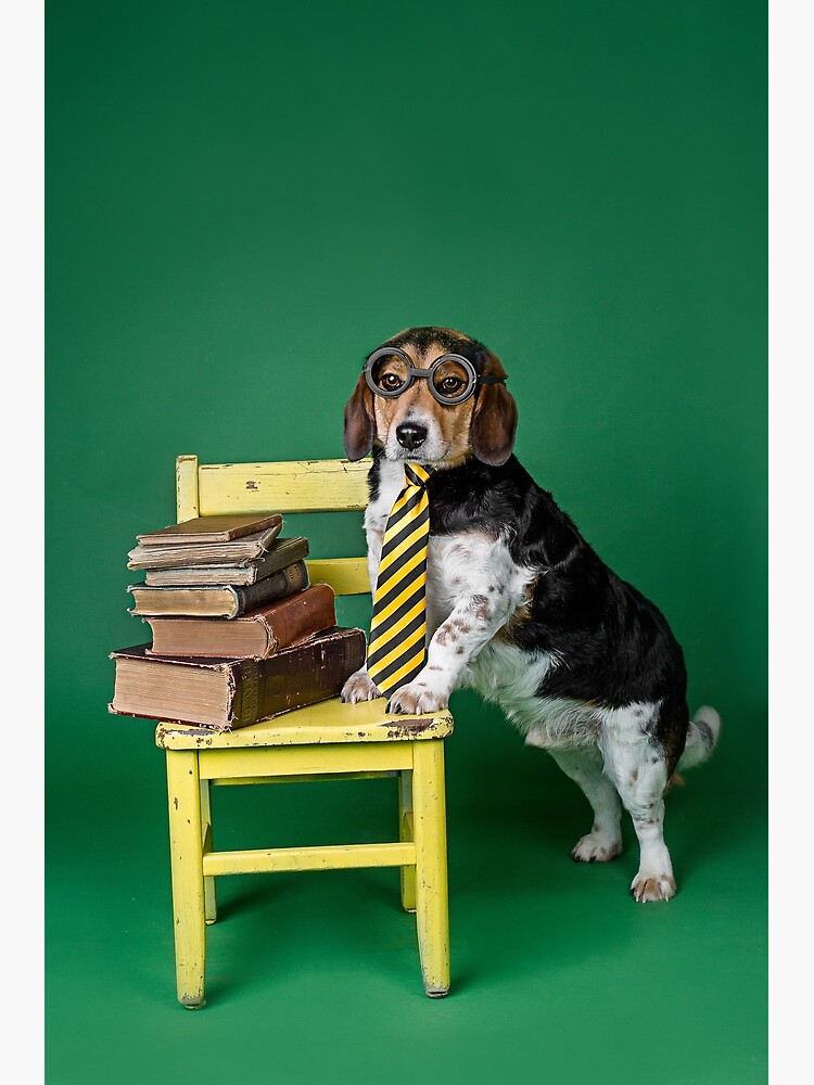 "Book Dog" Poster by lhezlep Redbubble