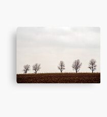 Five trees Canvas Print