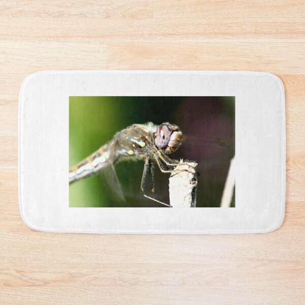 Item preview, Up Close with a Purple Eyed Dragonfly designed and sold by PsychoAlien.com.
